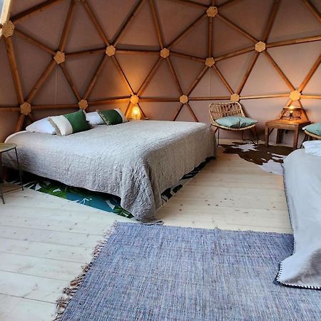 Hotel Sottu E Stelle Albitreccia Exteriér fotografie