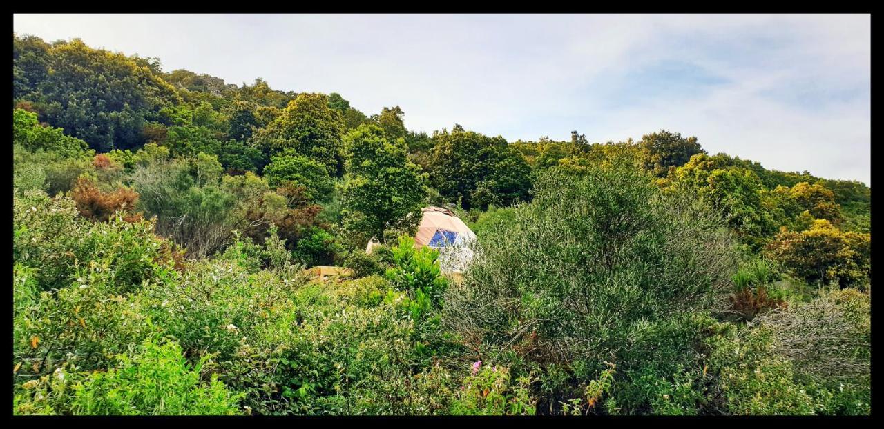 Hotel Sottu E Stelle Albitreccia Exteriér fotografie