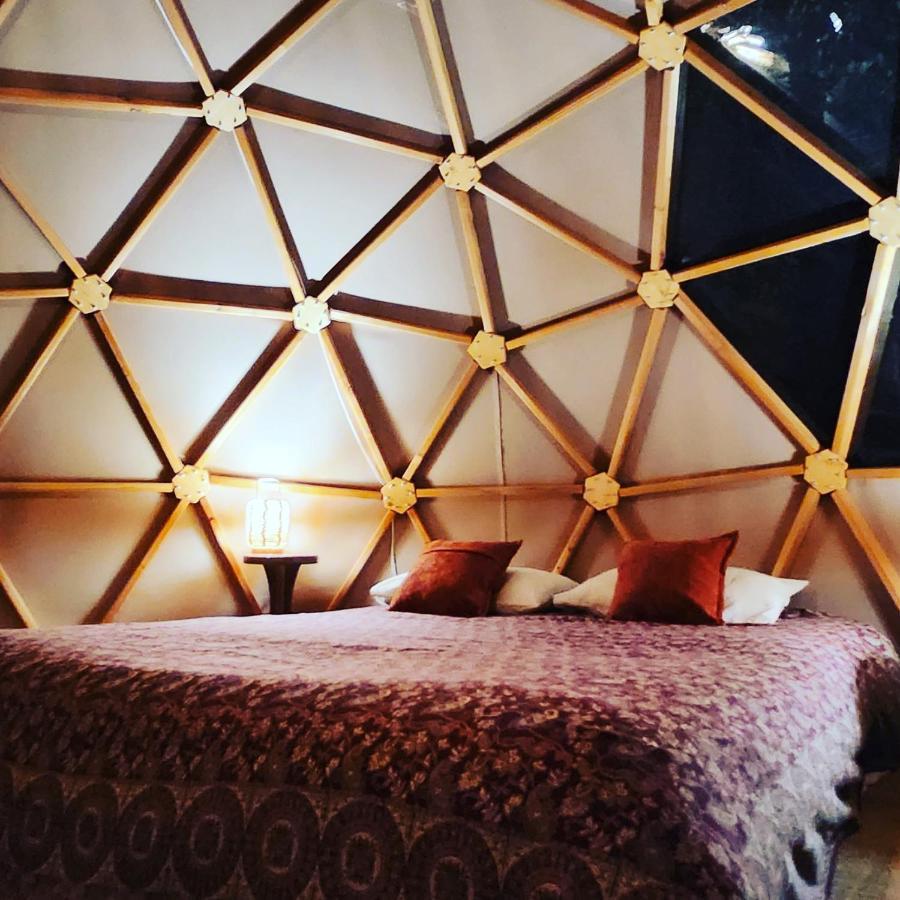 Hotel Sottu E Stelle Albitreccia Pokoj fotografie